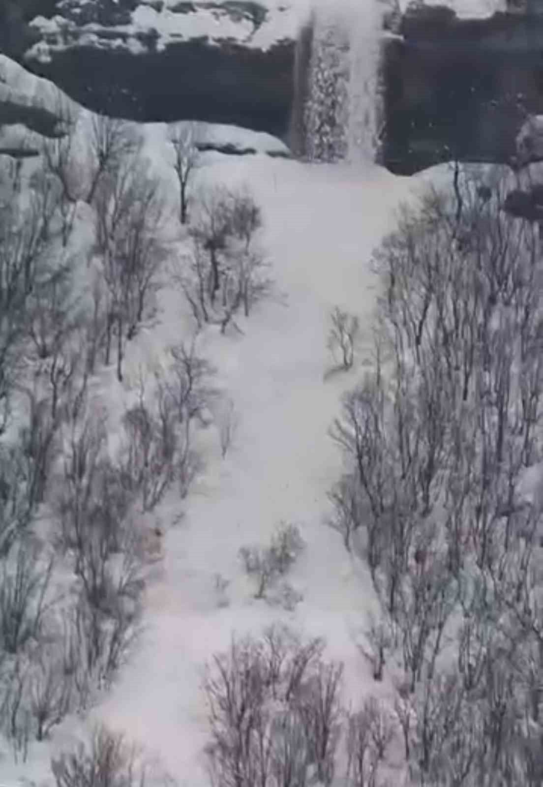 Çığ düşme anı kamerada
