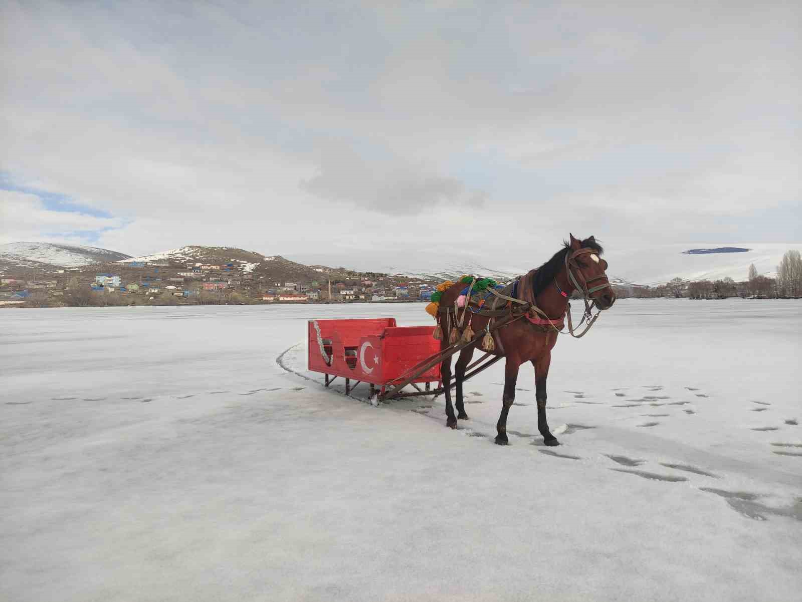 Çıldır Gölü’nde atlı kızak sezonu sona eriyor
