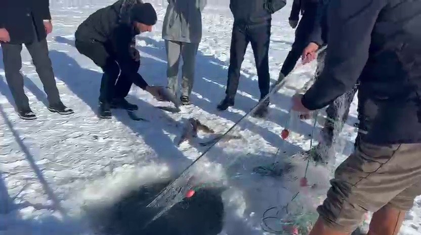 Çıldır’da ağ çekme etkinliği
