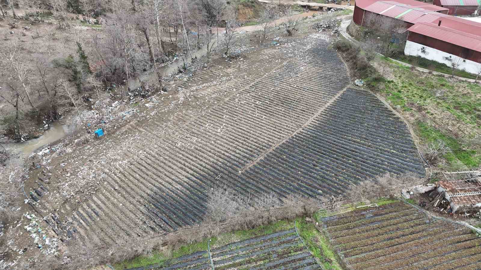 Çilek bahçesi selle birlikte su altında kaldı
