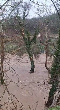 Çilek bahçesi selle birlikte su altında kaldı
