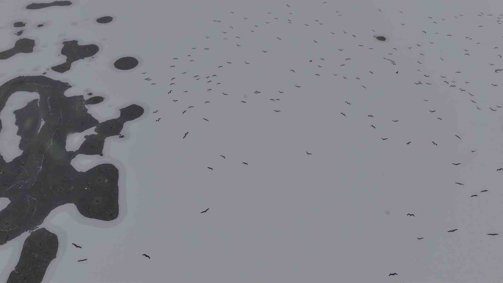 Cip Baraj Gölü buz tuttu
