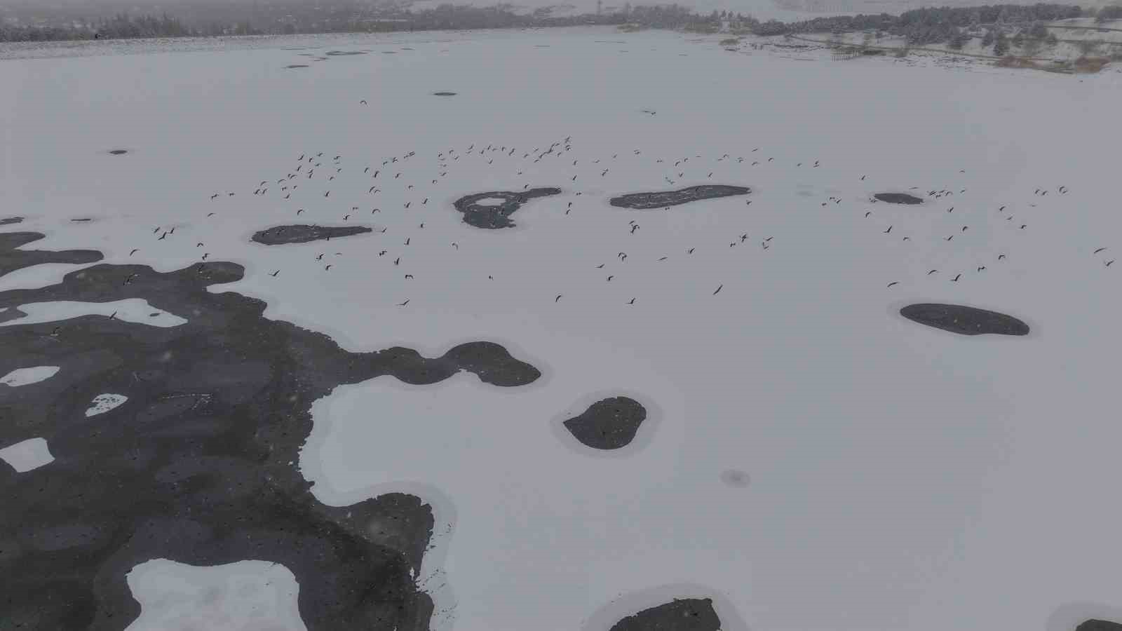 Cip Baraj Gölü buz tuttu
