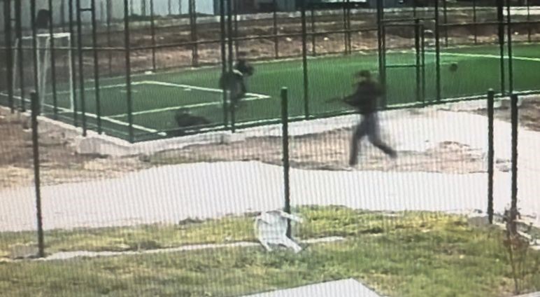 Çocuk parkında silahlı dehşet: Ateş açarak koştu
