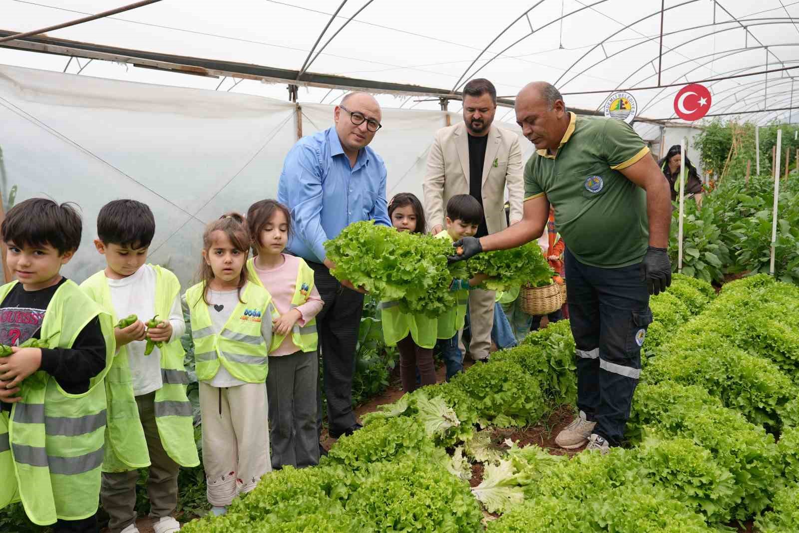 Çocuk serasında minikler yetiştirdikleri sebzeleri hasat etti
