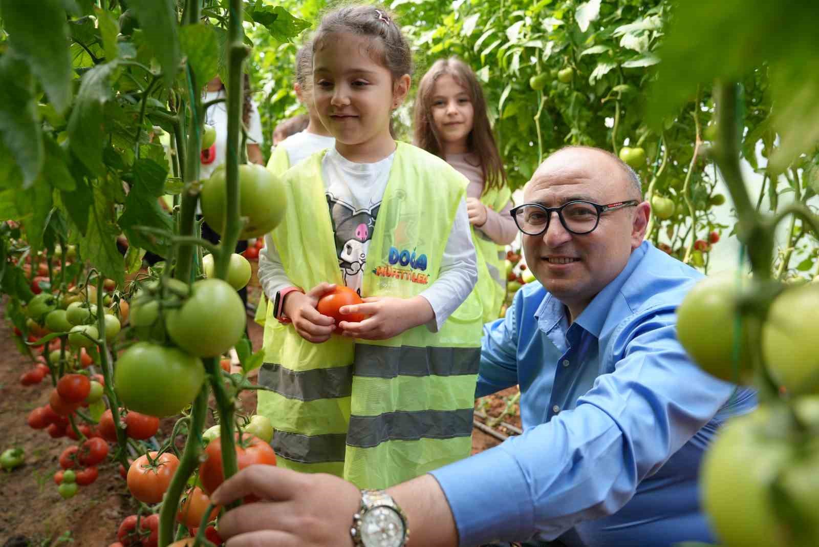 Çocuk serasında minikler yetiştirdikleri sebzeleri hasat etti
