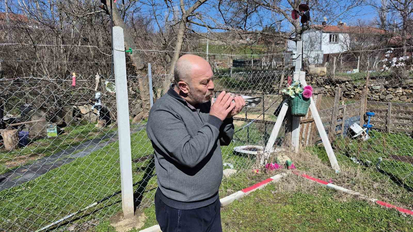 Çocukluğundan bu yana güvercin tutkunu olan adam: "Bir ev parasına kuş veren var"

