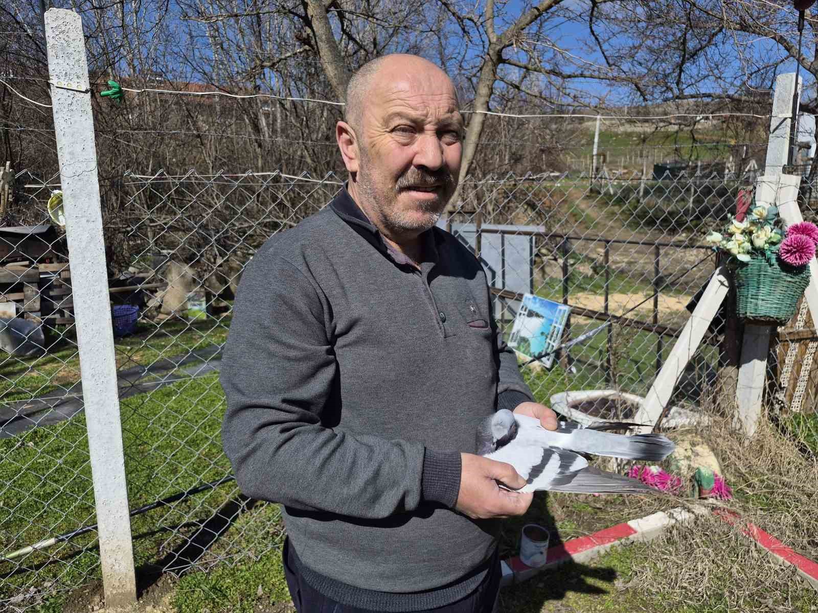 Çocukluğundan bu yana güvercin tutkunu olan adam: "Bir ev parasına kuş veren var"
