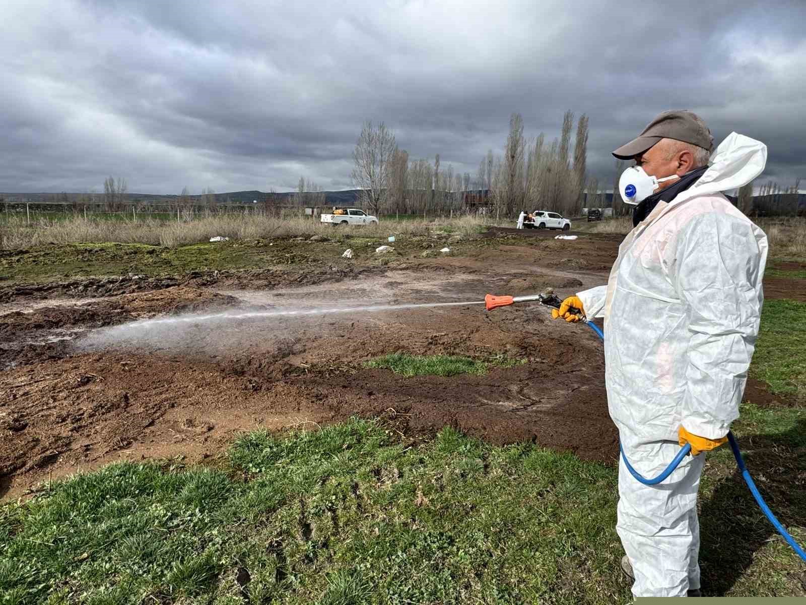 Çorum Belediyesi’nden yaz öncesi vektörle mücadele
