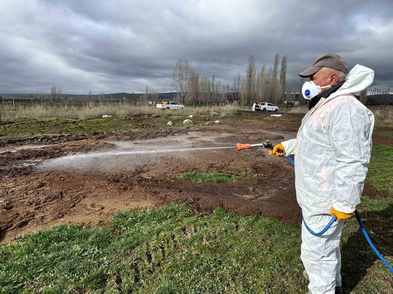 Çorum Belediyesi’nden yaz öncesi vektörle yoğun mücadele
Çorum Belediyesi’nden yaz öncesi vektörle yoğun mücadele