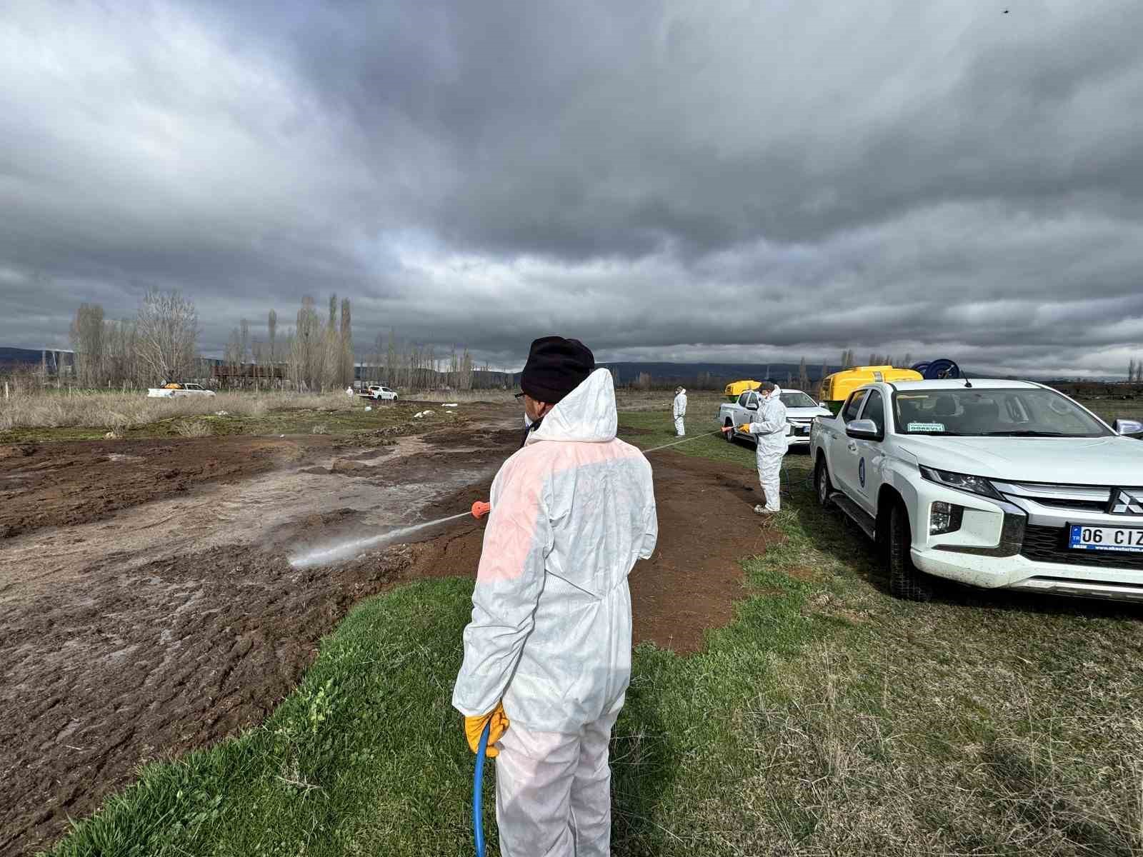 Çorum Belediyesi’nden yaz öncesi vektörle yoğun mücadele
Çorum Belediyesi’nden yaz öncesi vektörle yoğun mücadele