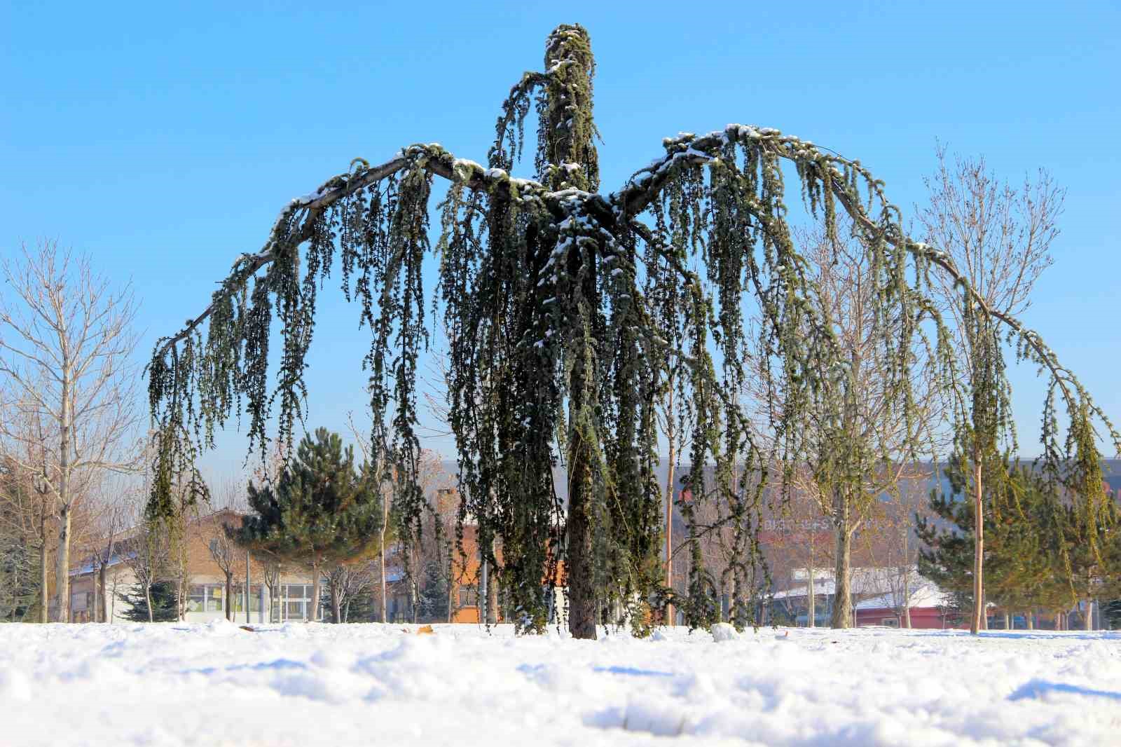 Çorum’da kar kartpostallık görüntüler oluşturdu
