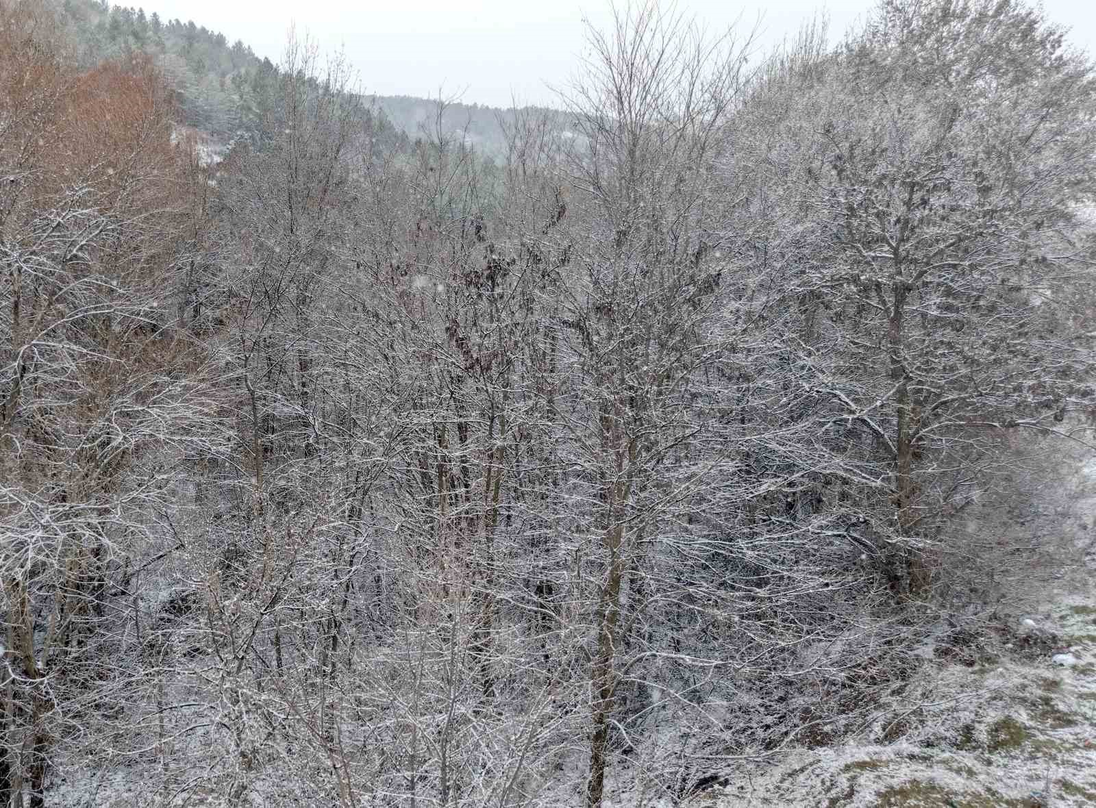 Çorum’da kar yağışı etkili oluyor
