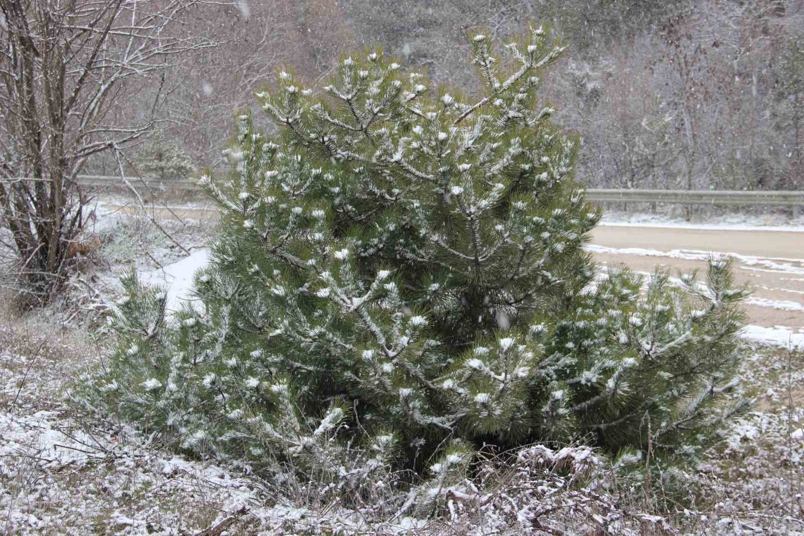 Çorum’da kar yağışı etkili oluyor
