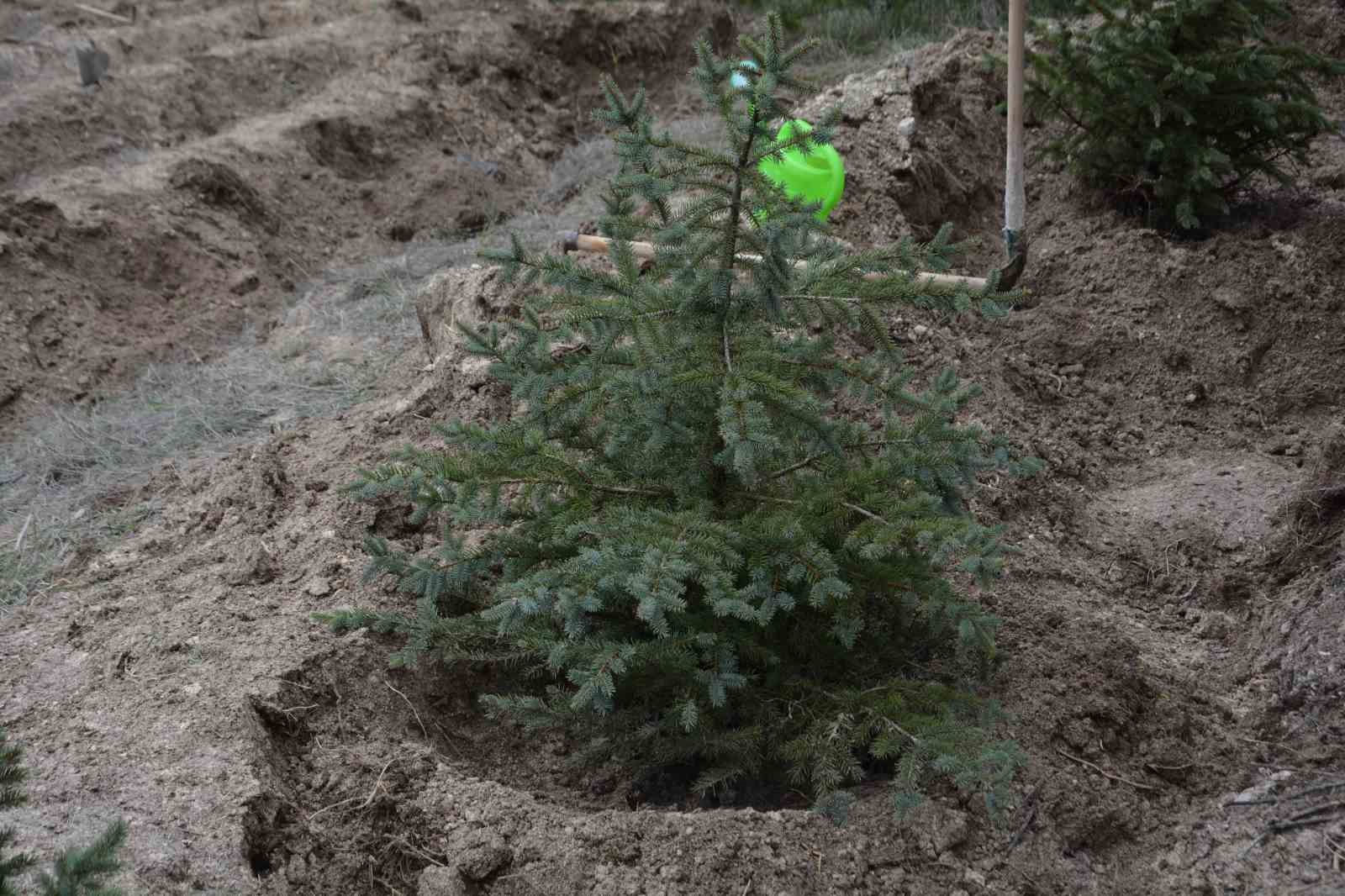 Çorum’da yüzlerce fidan toprakla buluştu
Çorum’da yüzlerce fidan toprakla buluştu