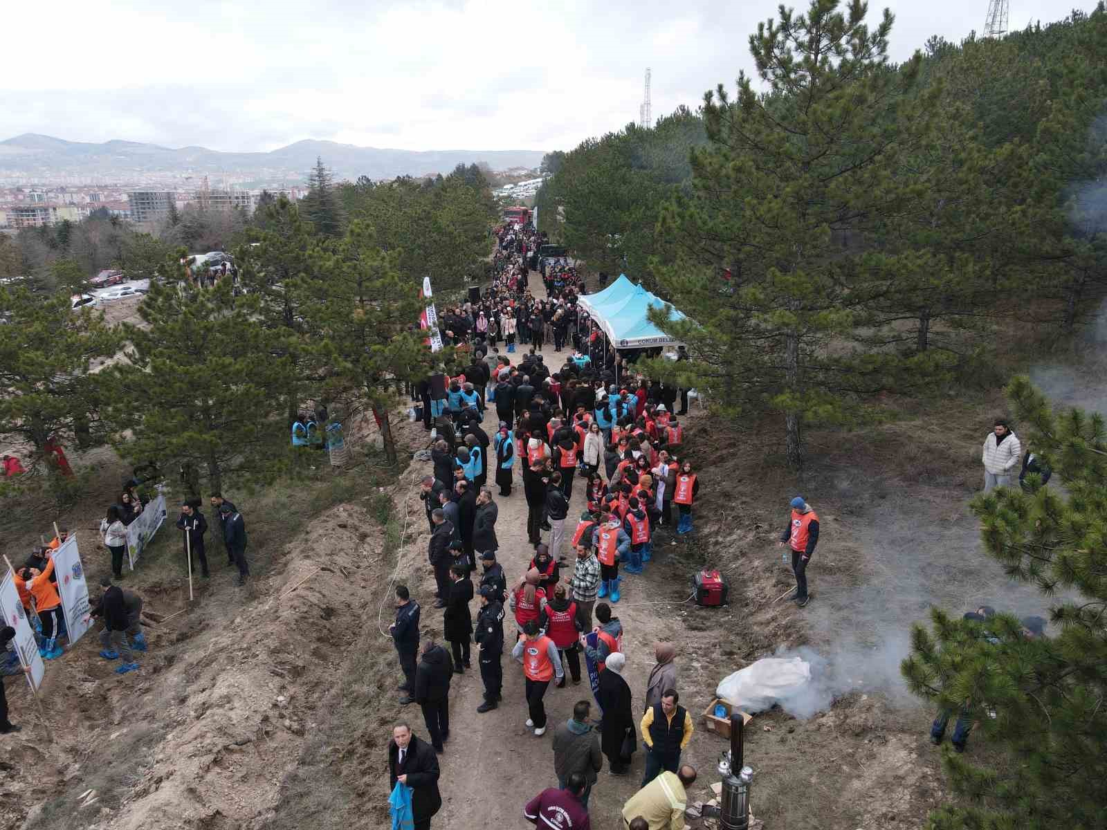 Çorum’da yüzlerce fidan toprakla buluştu
Çorum’da yüzlerce fidan toprakla buluştu