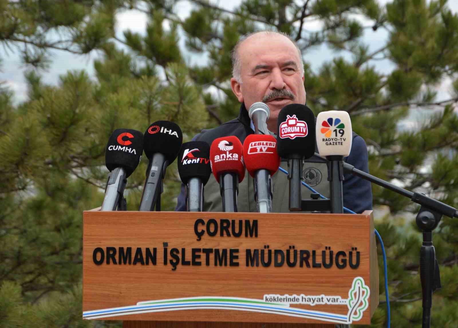 Çorum’da yüzlerce fidan toprakla buluştu
Çorum’da yüzlerce fidan toprakla buluştu