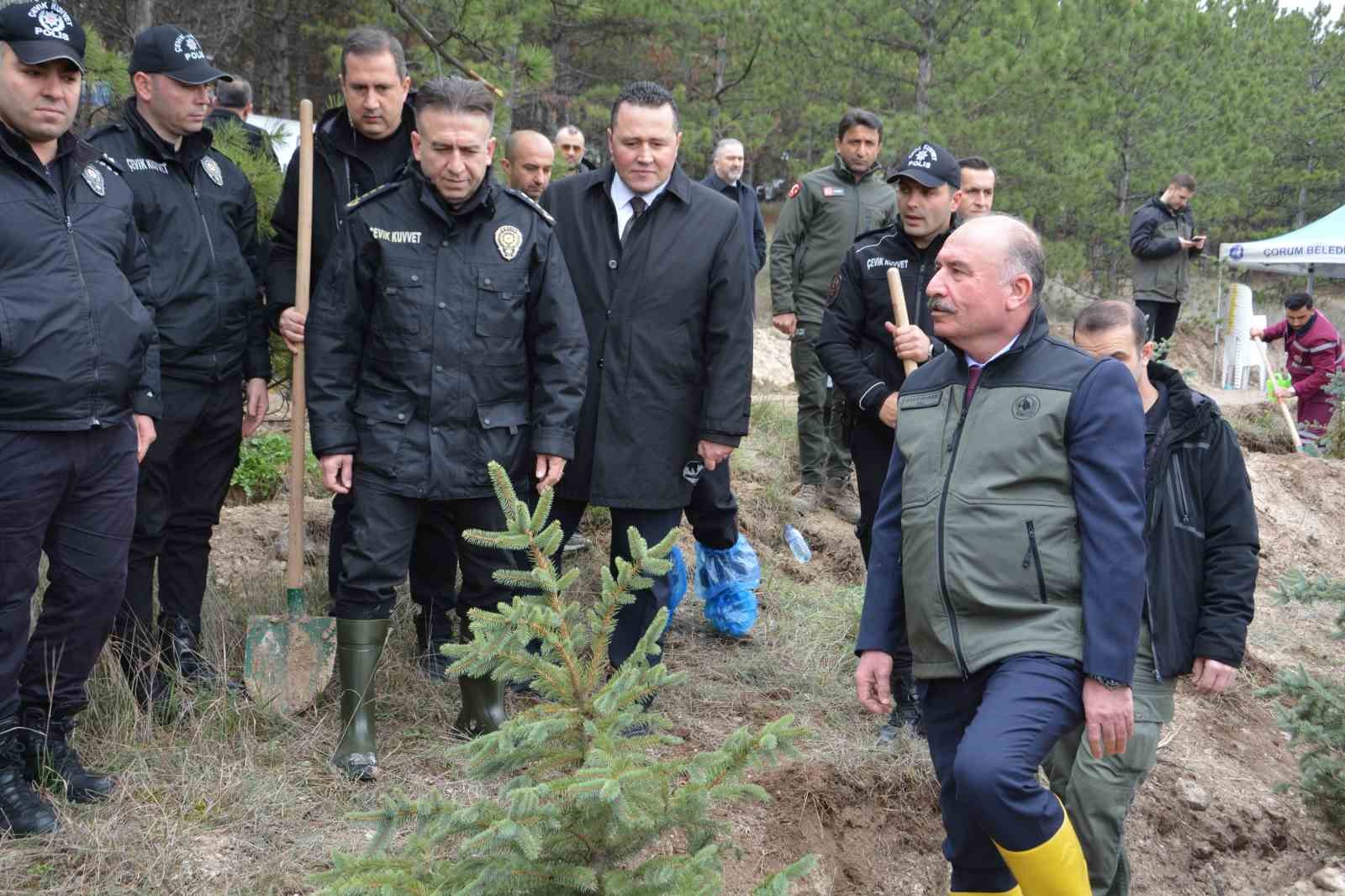 Çorum’da yüzlerce fidan toprakla buluştu
Çorum’da yüzlerce fidan toprakla buluştu