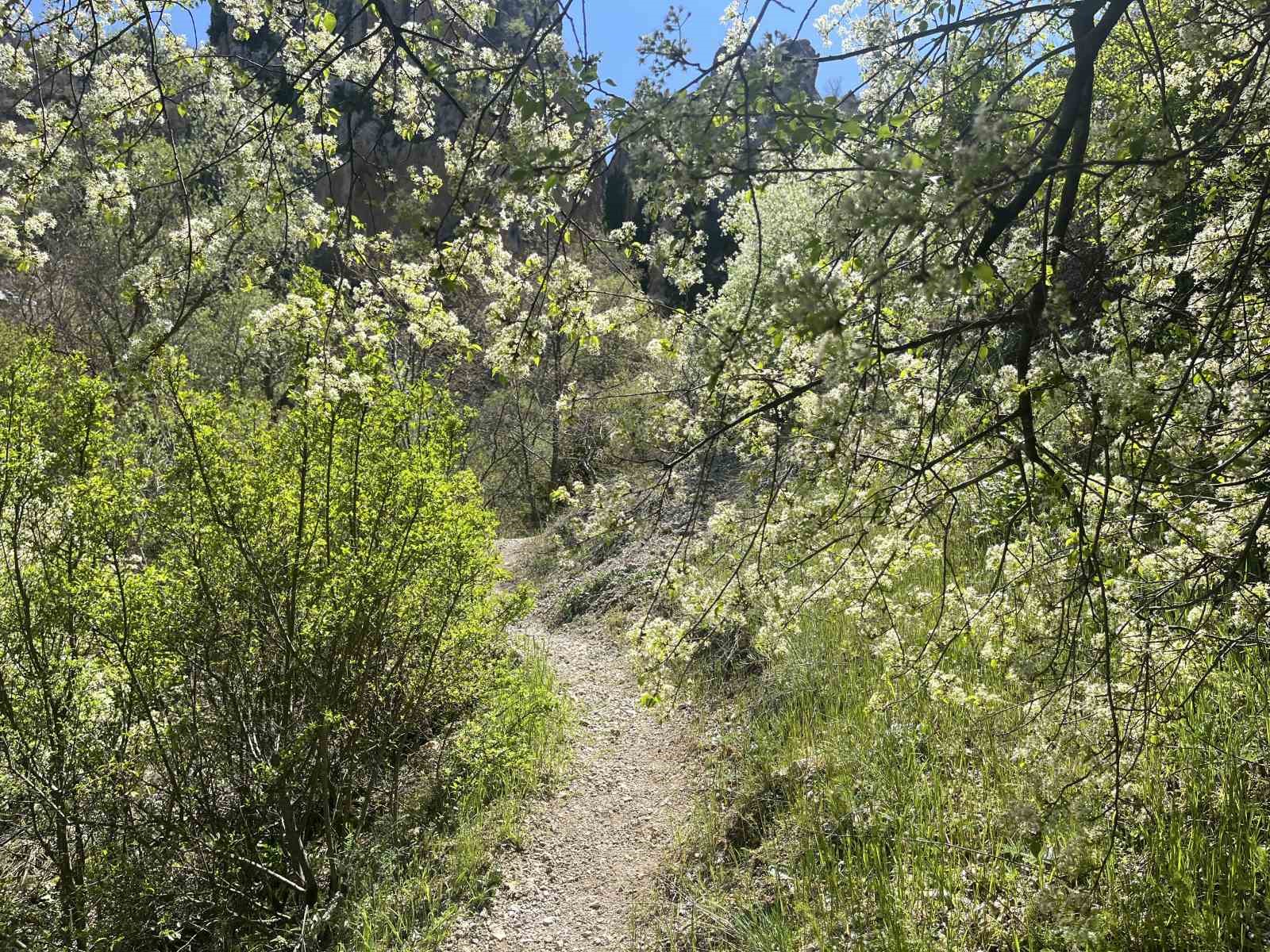 Çorum’un keşfedilmeyi bekleyen saklı cenneti
