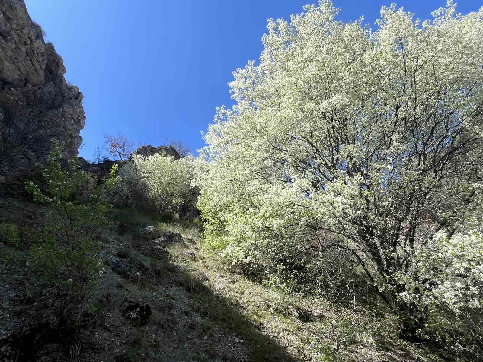 Çorum’un keşfedilmeyi bekleyen saklı cenneti
