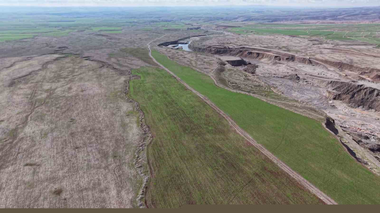 Cudi Dağında ceylan popülasyonu 165’e ulaştı
