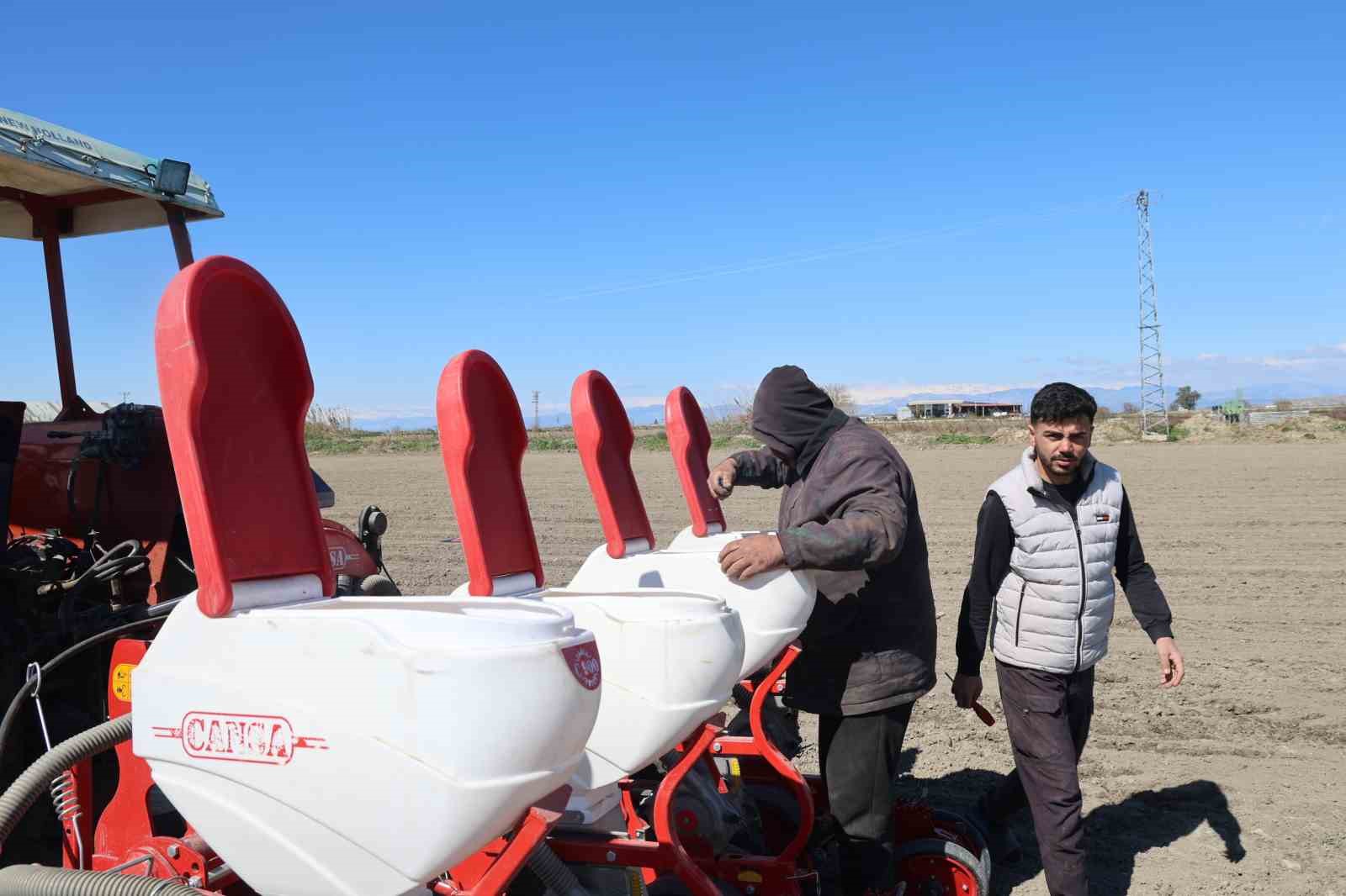 Çukurova’nın bereketli toprakları mısır ve ayçiçeği tohumları ile buluştu
