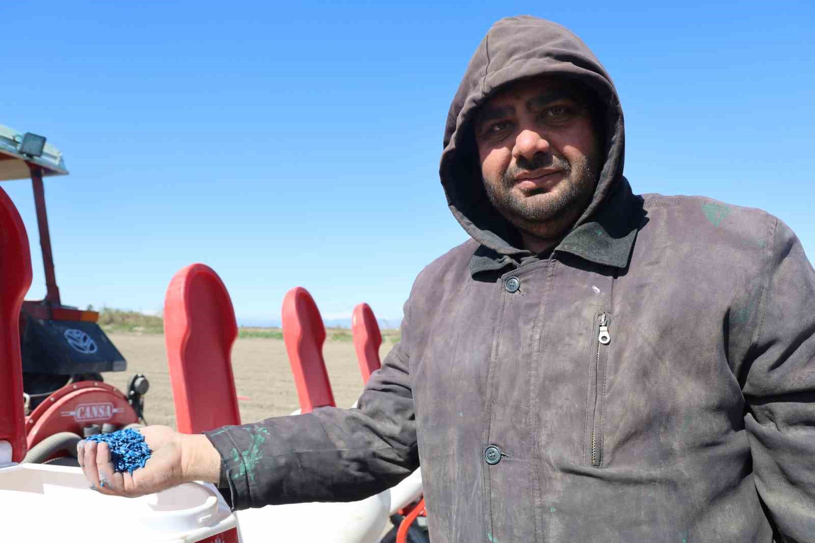 Çukurova’nın bereketli toprakları mısır ve ayçiçeği tohumları ile buluştu
