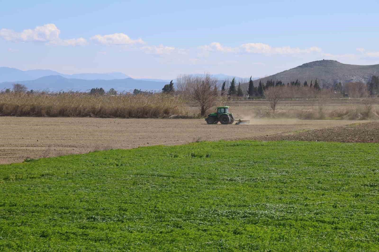 Çukurova’nın bereketli toprakları mısır ve ayçiçeği tohumları ile buluştu
