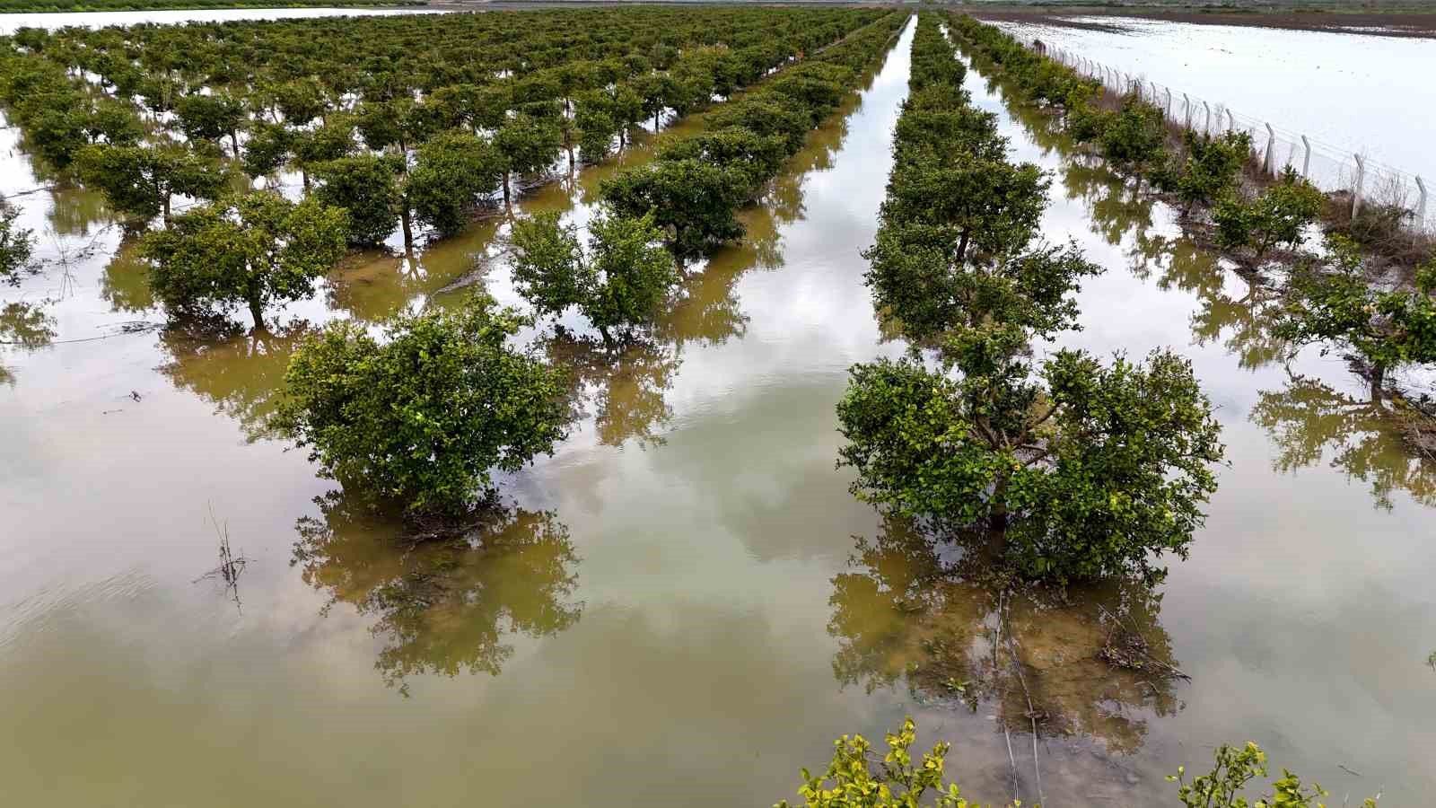 Çukurova’yı yağmur vurdu: Tarım arazileri sular altında
