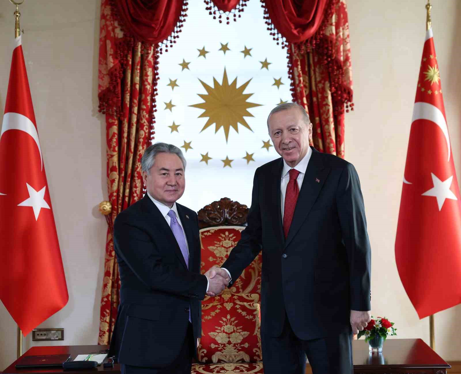 Cumhurbaşkanı Erdoğan, Türk Devletleri Teşkilatı heyetini kabul etti
