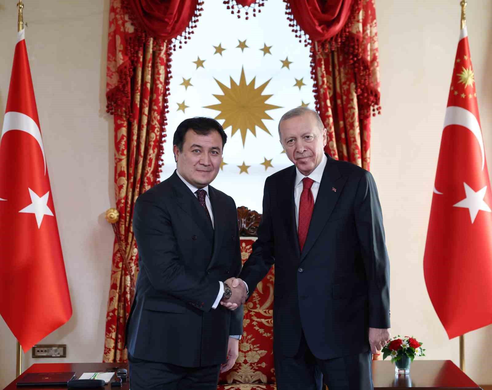 Cumhurbaşkanı Erdoğan, Türk Devletleri Teşkilatı heyetini kabul etti
