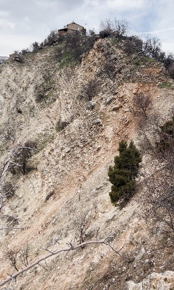 Dağ keçileri sürü halinde görüntülendi
