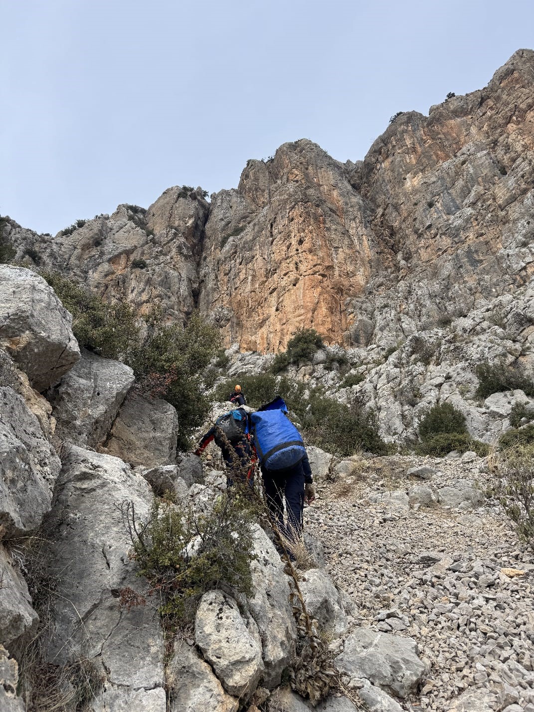 Dağda mahsur kalan keçi ekipler tarafından kurtarıldı

