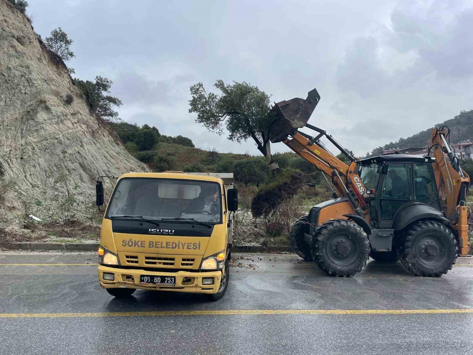 Dağdan kopan zeytin ağacı karayolunu ikiye böldü
