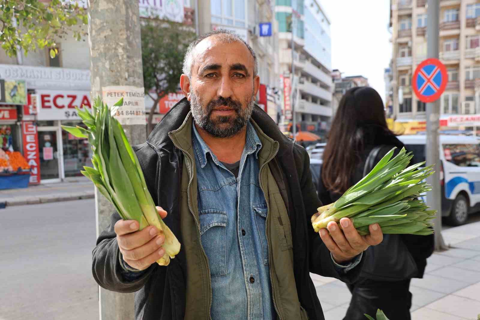Dağlardan toplanan doğal antibiyotik, tezgahlarda yerini aldı
