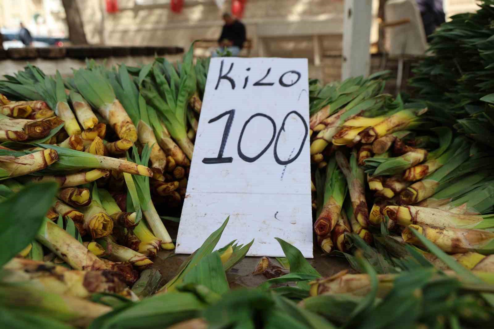 Dağlardan toplanan doğal antibiyotik, tezgahlarda yerini aldı
