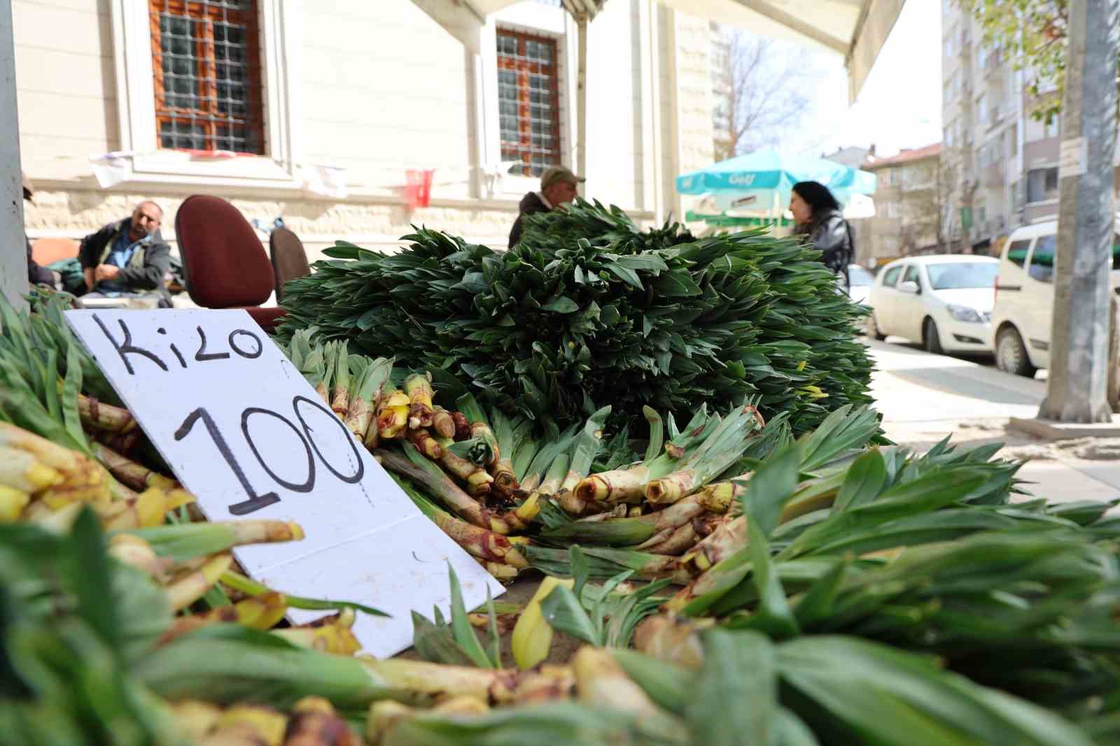 Dağlardan toplanan doğal antibiyotik, tezgahlarda yerini aldı

