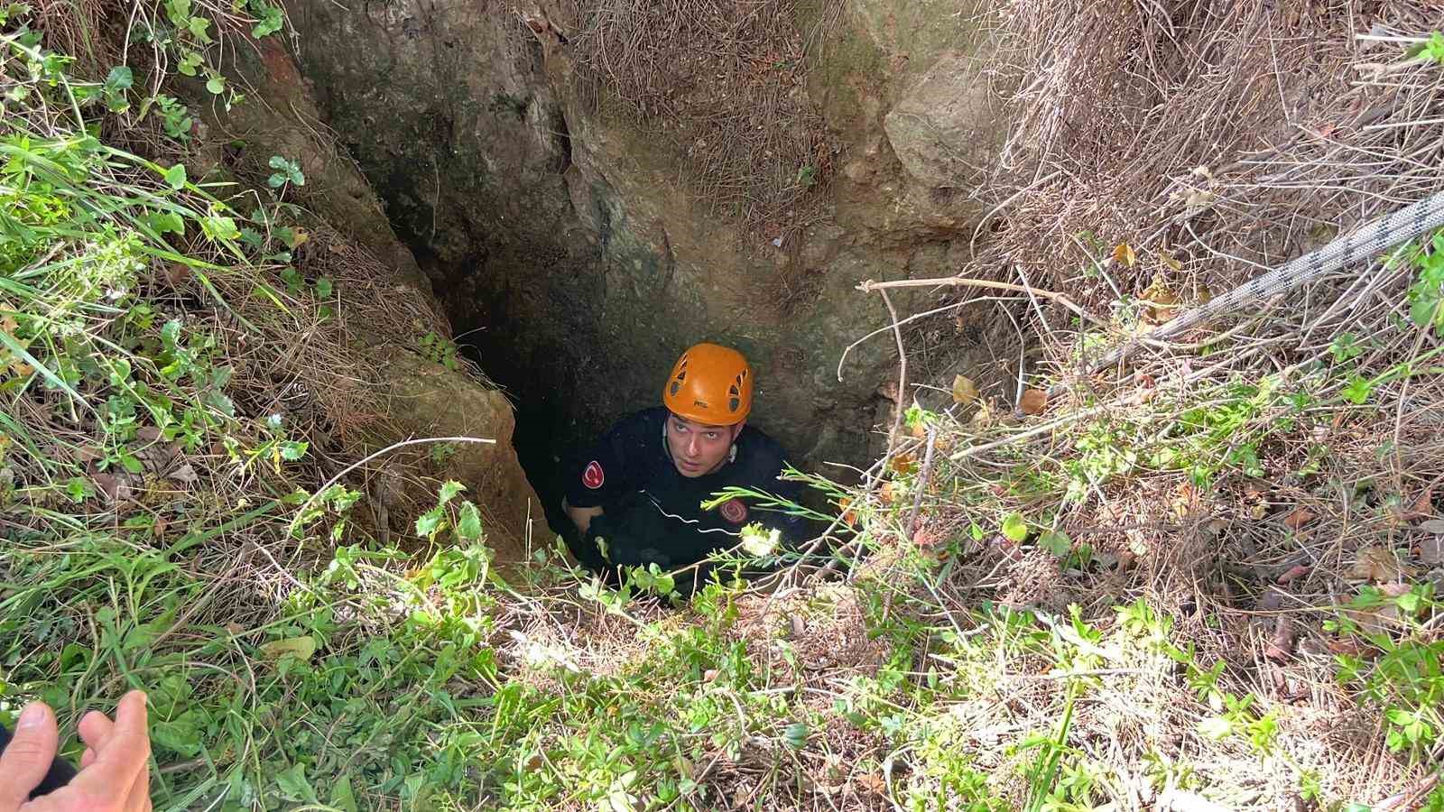 Dağlık alanda otlarken mağaraya düşen inek mağaraya inebilecek kasap bulunamayınca telef oldu
