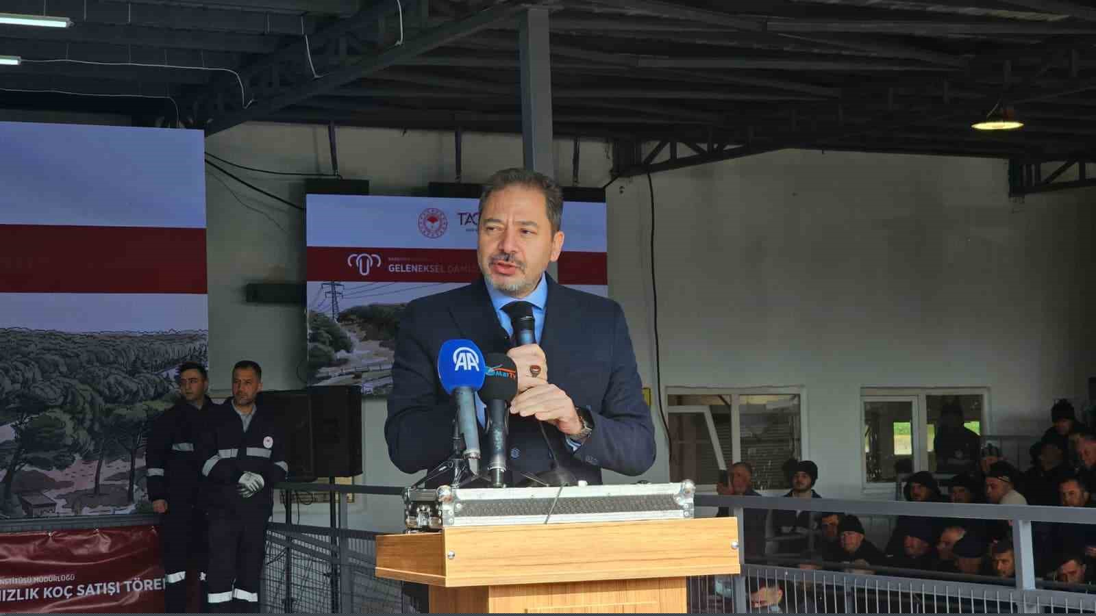 Damızlık koçta rekor, açık artırmada 1 milyonluk satış
