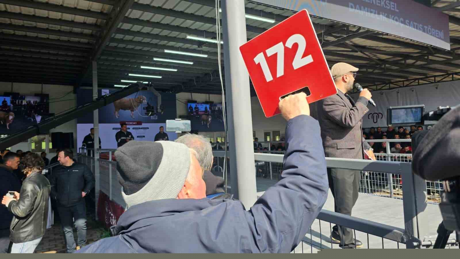 Damızlık koçta rekor, açık artırmada 1 milyonluk satış
