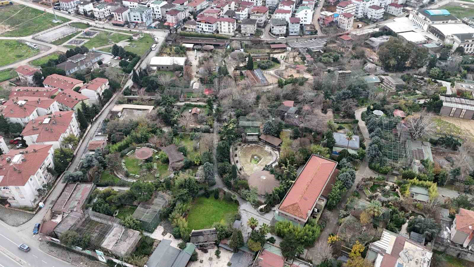 Darıca Hayvanat Bahçesi kapandı, hayvanlar farklı illere nakledildi
