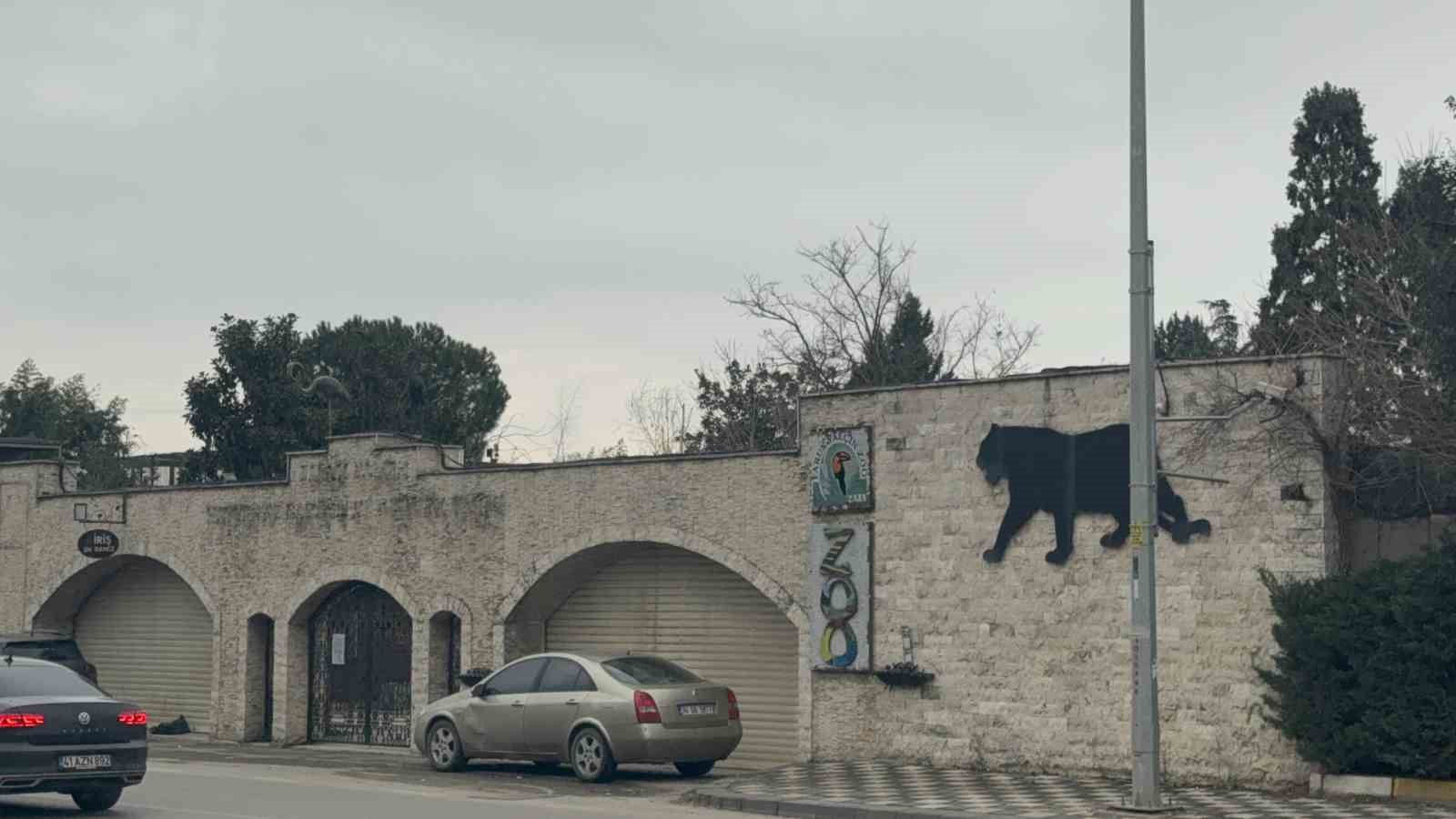 Darıca Hayvanat Bahçesi kapandı, hayvanlar farklı illere nakledildi
