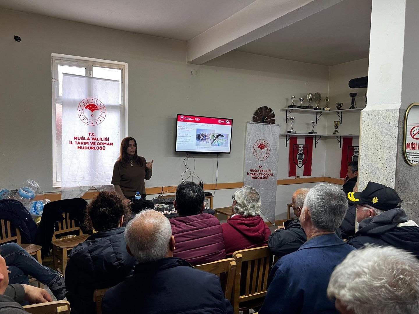 Datça’da üreticilere ’badem hastalık ve zararları’ eğitimi verildi
