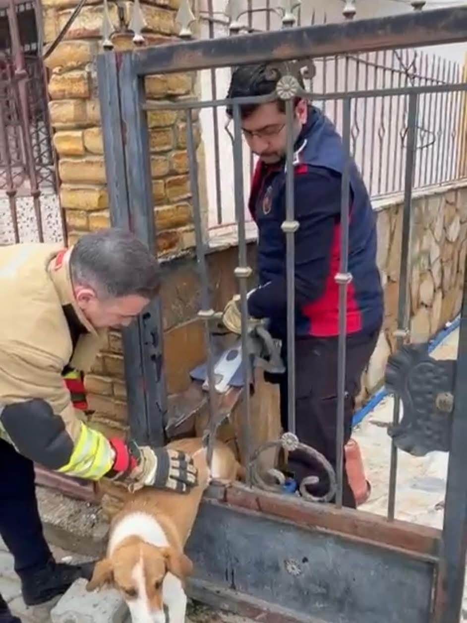 Demir korkuluklara sıkışan köpeği itfaiye kurtardı
