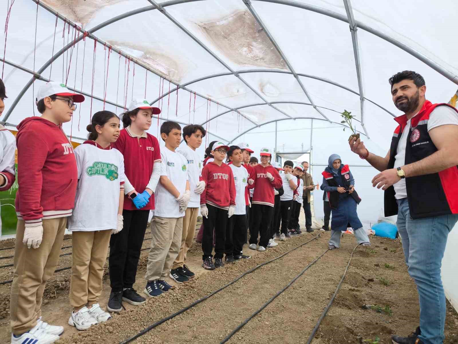 Demirkent TOKİ İlkokulu’nda öğrenciler serada fide dikti
