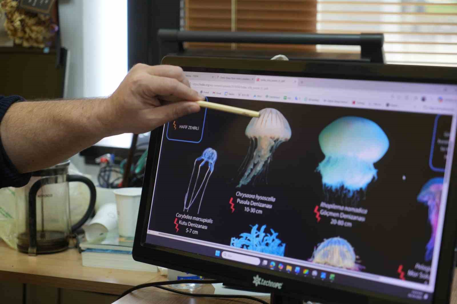 Denizde bu türü görürseniz sakın yaklaşmayın
Denizde bu türü görürseniz sakın yaklaşmayın