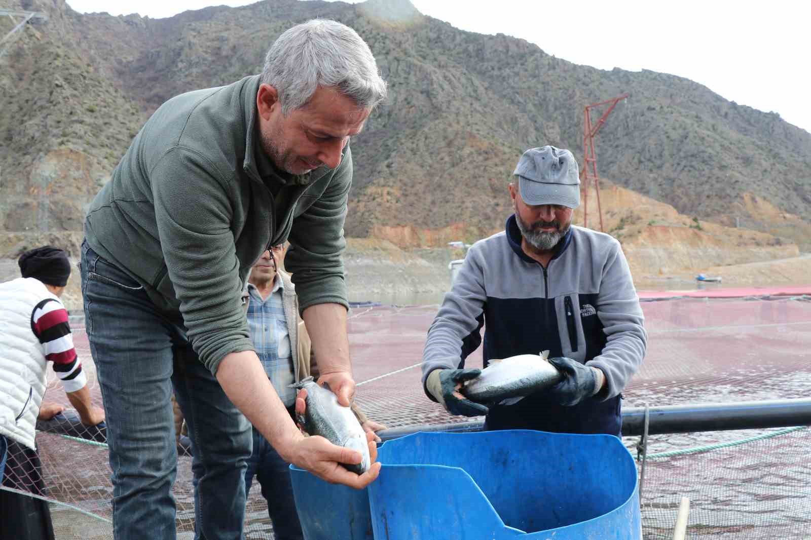 Denizi olmayan Erzurum’da yılda 300 tona yakın balık üretiyorlar
Denizi olmayan Erzurum’da yılda 300 tona yakın balık üretiyorlar