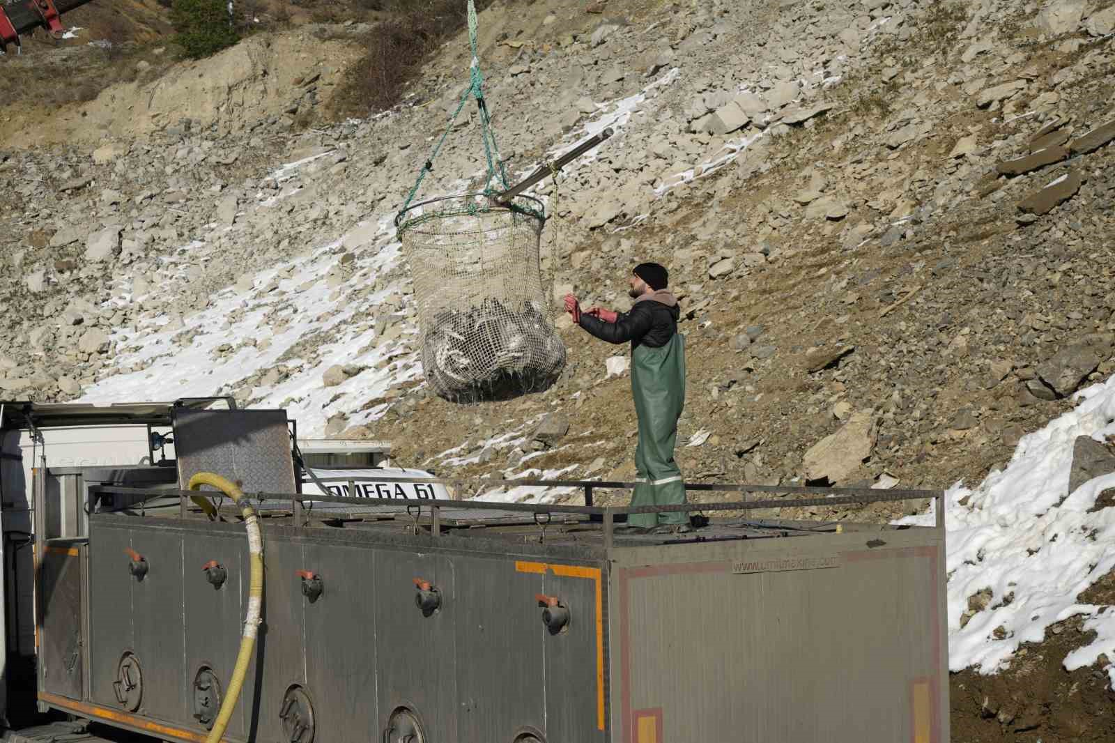 Denizi olmayan Gümüşhane’de alabalık üretimi 2 bin tona ulaştı
