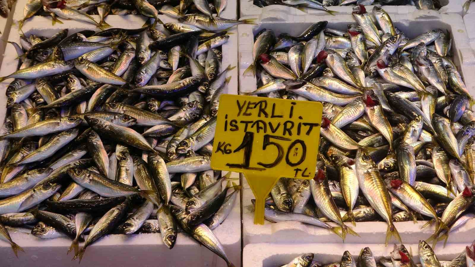 Denizlerde av yasağının başlamasının ardından tezgahlar kültür balıklarına kaldı
