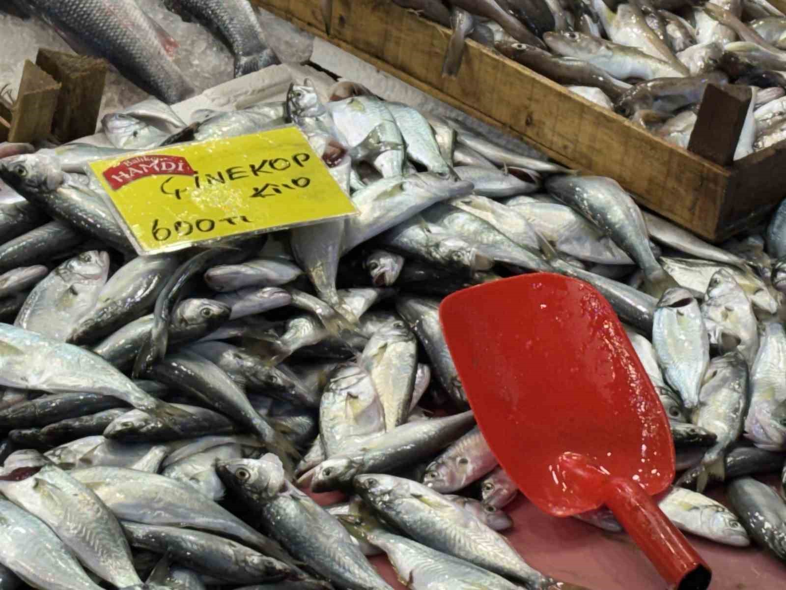 Denizlerdeki durgunluk tezgaha yansıdı
